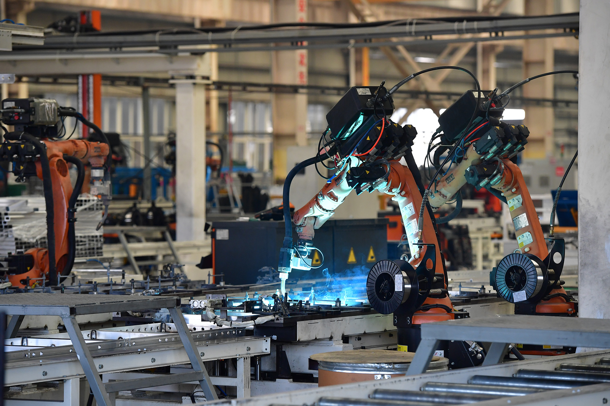 1648609726508812pB08.jpg WZW_9863.jpg